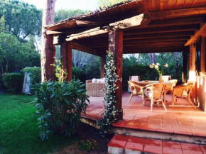 Villa Capo Coda Cavallo San Teodoro